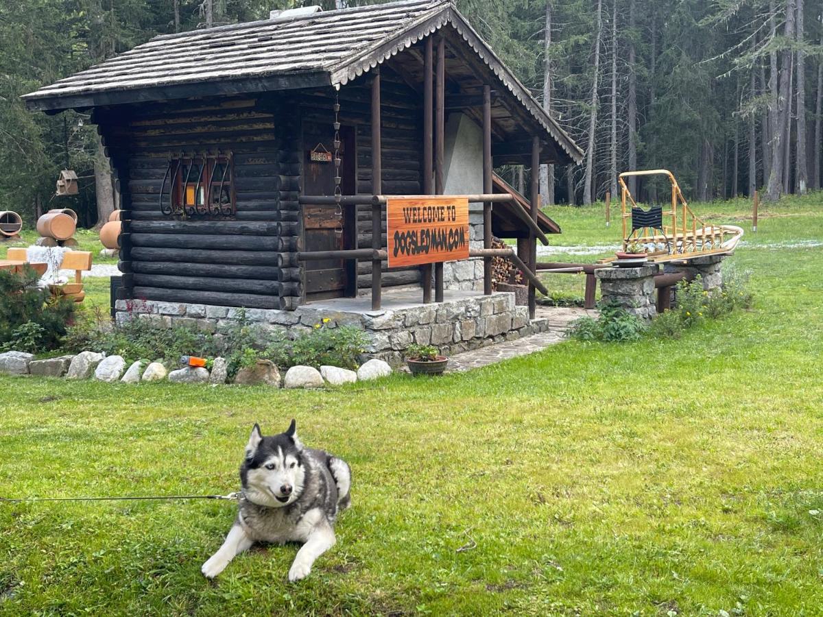 Wildhomes Wild Wolf Lodge Курмайор Экстерьер фото